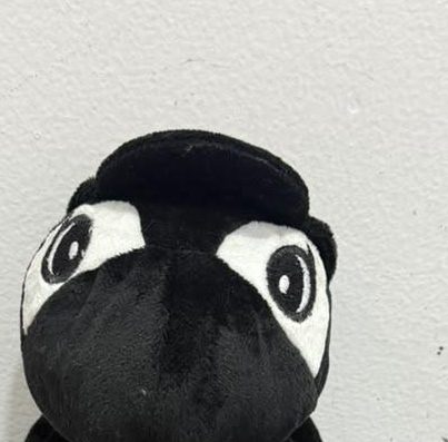 The hat that does not come off